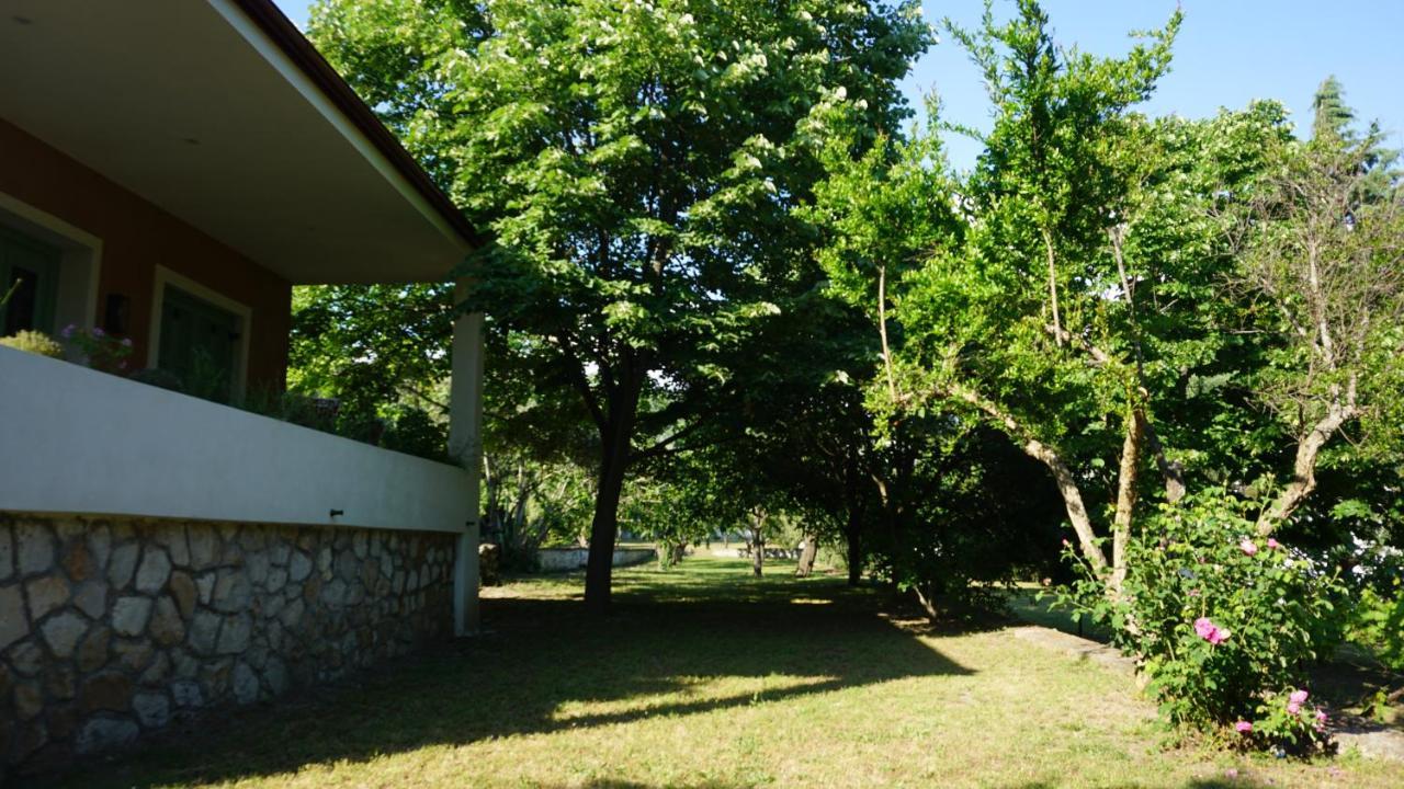 Kavet Palio Cottage Palaiontsiflikion Exterior foto