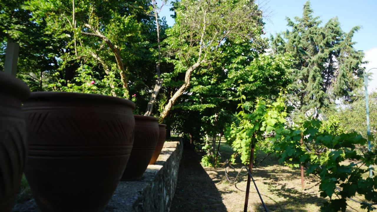 Kavet Palio Cottage Palaiontsiflikion Exterior foto